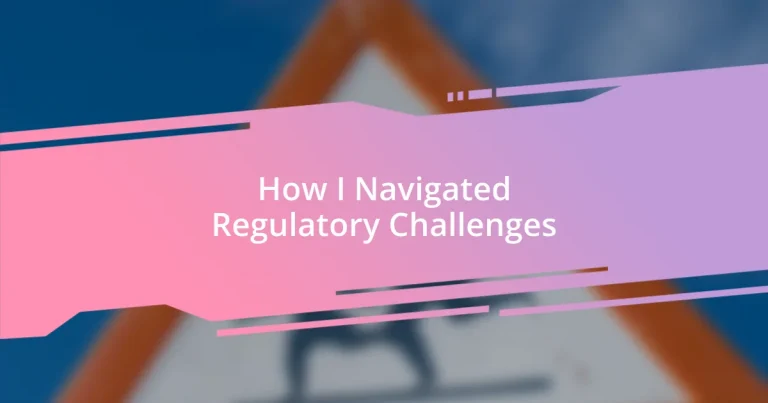 How I Navigated Regulatory Challenges