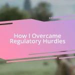 How I Overcame Regulatory Hurdles